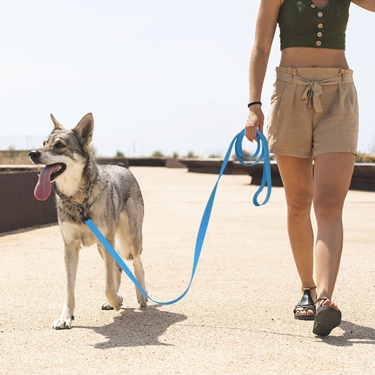 🐕 Découvrez notre laisse pour chien imperméable multifonctionnelle ! Adaptée à toutes les races et activités extérieures. Commandez dès maintenant !