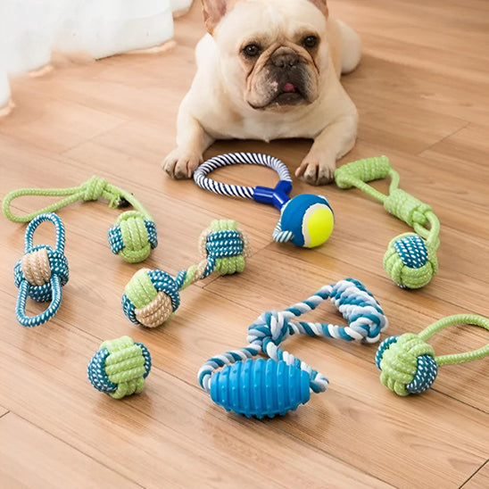 🦴 Protégez votre maison et la santé dentaire de votre chien avec nos jouets à mâcher durables. Canalisez son instinct naturel pour des heures de plaisir !