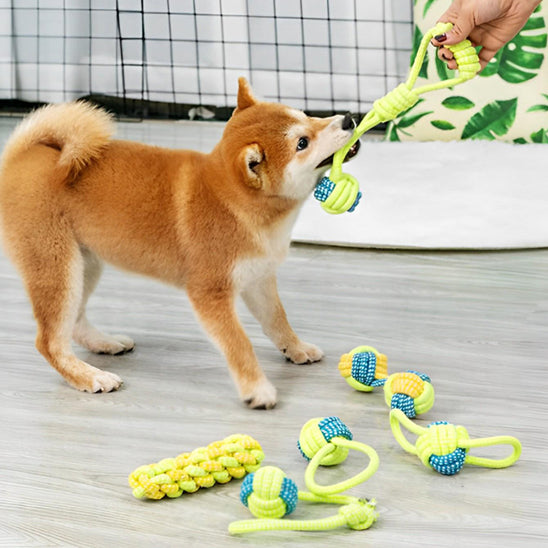 🦴 Protégez votre maison et la santé dentaire de votre chien avec nos jouets à mâcher durables. Canalisez son instinct naturel pour des heures de plaisir !
