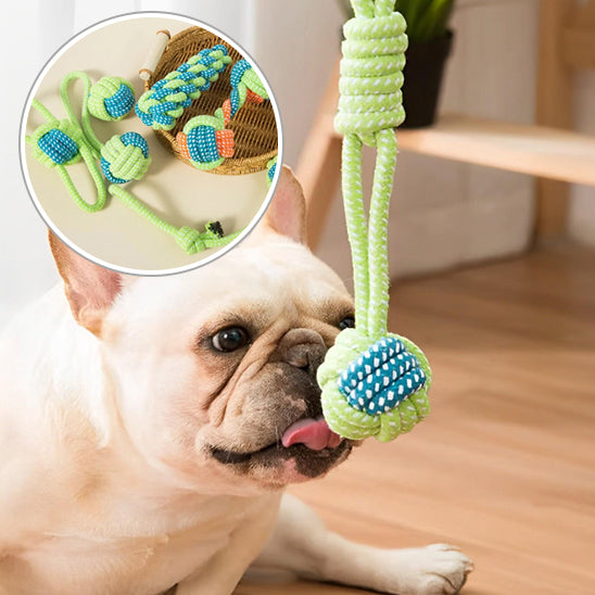 🦴 Protégez votre maison et la santé dentaire de votre chien avec nos jouets à mâcher durables. Canalisez son instinct naturel pour des heures de plaisir !