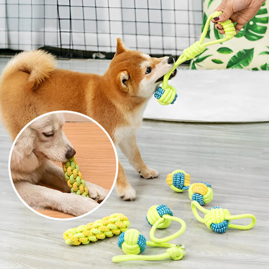 🦴 Protégez votre maison et la santé dentaire de votre chien avec nos jouets à mâcher durables. Canalisez son instinct naturel pour des heures de plaisir !