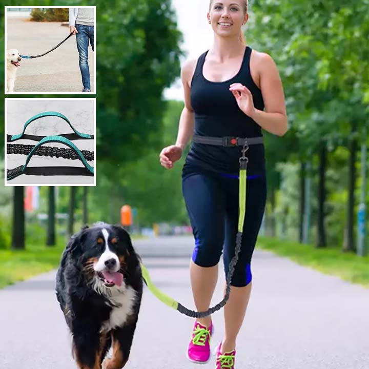 🐕 Découvrez notre laisse pour chien à double poignée : promenades sécurisées jusqu'à 50kg et contrôle optimal en ville comme en nature.