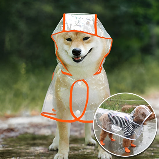 đ ProtĂ©gez votre chien du froid et de la pluie avec notre manteau pour chien impermĂ©able. Confort optimal et style garanti pour vos sorties pluvieuses