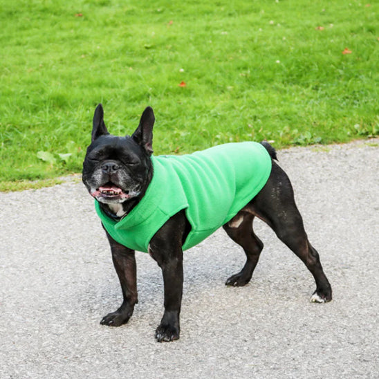 đ ProtĂ©gez votre chien du froid avec notre manteau douillet et pratique. DĂ©couvrez un confort optimal pour vos promenades hivernales, peu importe la mĂ©tĂ©o !