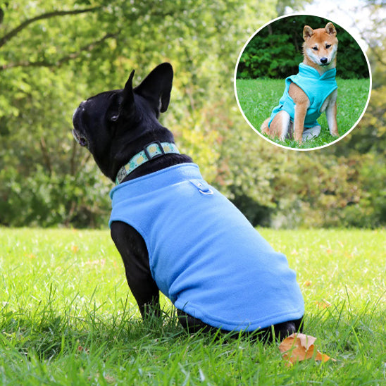 đ ProtĂ©gez votre chien du froid avec notre manteau douillet et pratique. DĂ©couvrez un confort optimal pour vos promenades hivernales, peu importe la mĂ©tĂ©o !