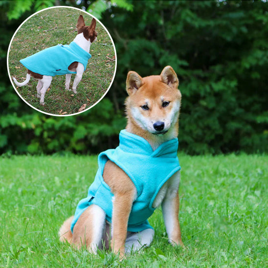 đ ProtĂ©gez votre chien du froid avec notre manteau douillet et pratique. DĂ©couvrez un confort optimal pour vos promenades hivernales, peu importe la mĂ©tĂ©o !