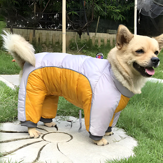 đ ProtĂ©gez votre chien du froid avec notre manteau impermĂ©able ! Confort et style garantis pour vos balades hivernales. Commandez maintenant !