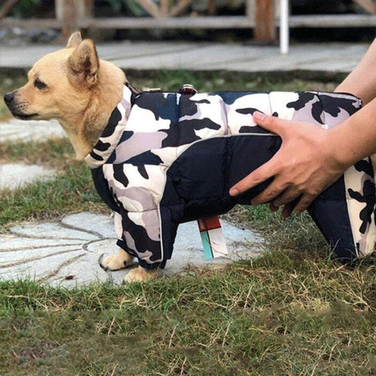 đ ProtĂ©gez votre chien du froid avec notre manteau impermĂ©able ! Confort et style garantis pour vos balades hivernales. Commandez maintenant !