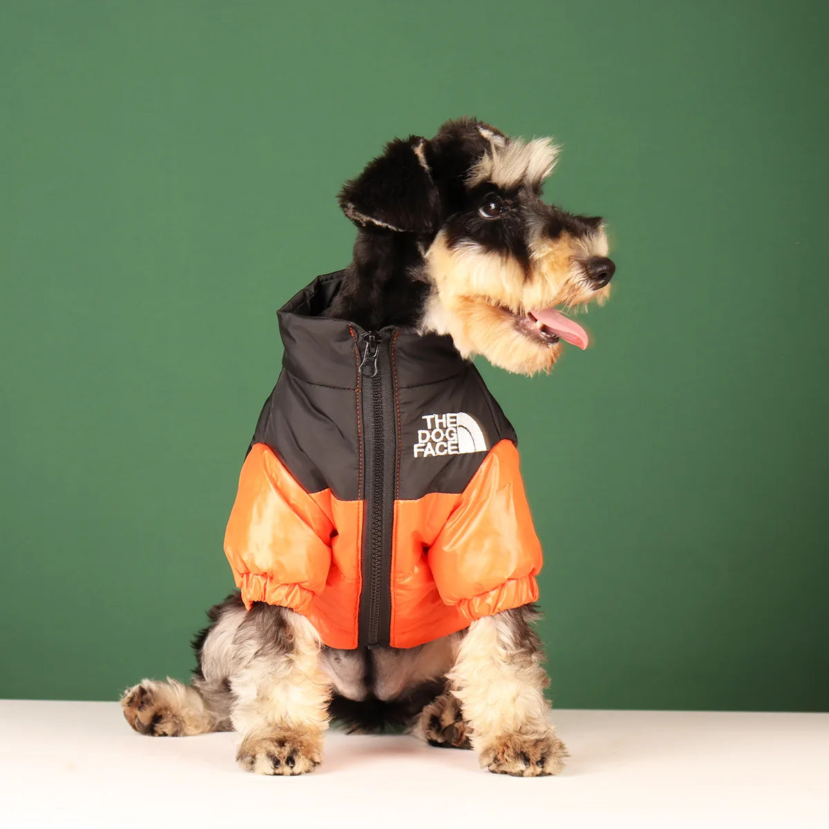 đ ProtĂ©gez votre chien du froid avec notre manteau impermĂ©able ! Confort et style garantis pour vos balades hivernales. Commandez maintenant !