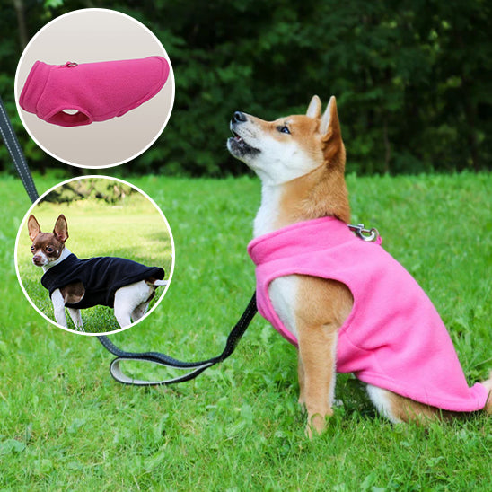 đ ProtĂ©gez votre chien du froid avec notre manteau douillet et pratique. DĂ©couvrez un confort optimal pour vos promenades hivernales, peu importe la mĂ©tĂ©o !
