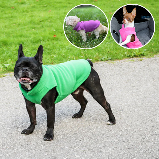 đ ProtĂ©gez votre chien du froid avec notre manteau douillet et pratique. DĂ©couvrez un confort optimal pour vos promenades hivernales, peu importe la mĂ©tĂ©o !