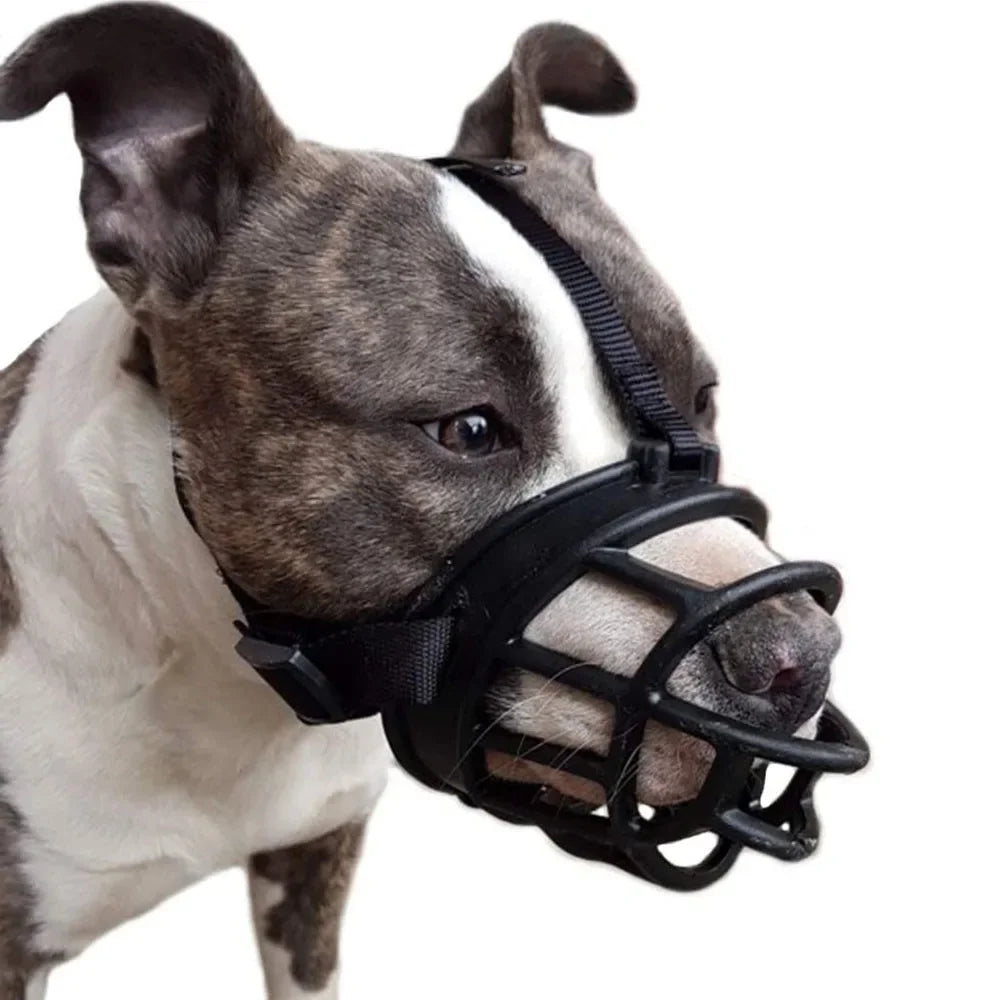 🐕 Découvrez notre muselière pour chien confortable et respirante. Sécurisez vos promenades tout en préservant le bien-être de votre compagnon.