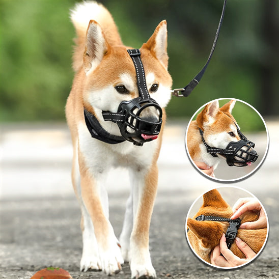 🐕 Découvrez notre muselière pour chien confortable et respirante. Sécurisez vos promenades tout en préservant le bien-être de votre compagnon.