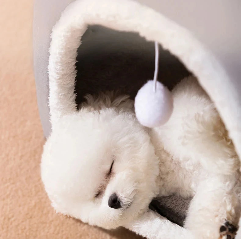 đ  Offrez un refuge douillet avec notre niche pour chien design. Lavable, pliable et ultra-confortable pour le bien-ĂȘtre de votre compagnon. Commandez maintenant !