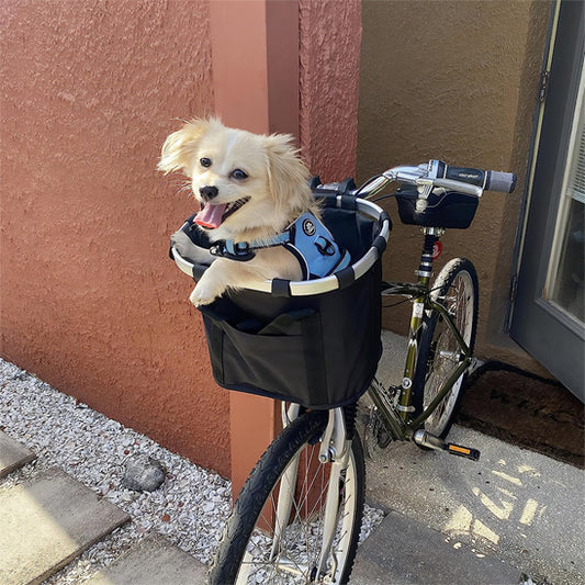 🐕 Découvrez notre panier pour chien vélo et partagez vos aventures sans laisser votre compagnon ! Sortez ensemble, en toute sécurité jusqu'à 5kg.