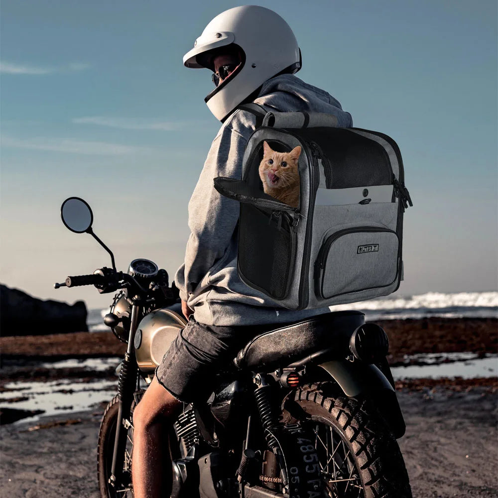 đ DĂ©couvrez notre sac Ă dos pour chien ultra-sĂ©curisĂ© et libĂ©rez vos aventures Ă deux. Emmenez votre compagnon partout sans stress !