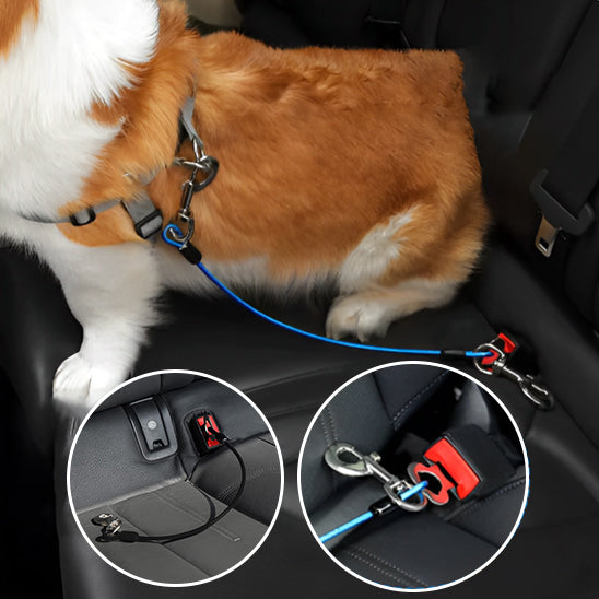 🐶 Sécurisez vos trajets en voiture avec notre laisse pour chien universelle. Protégez votre fidèle compagnon contre les accidents. Disponible en 3 tailles !