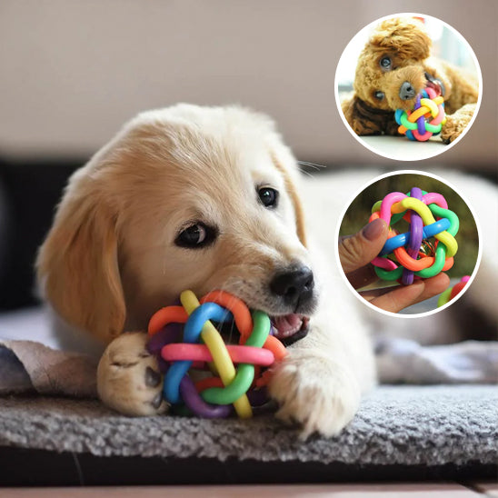 đ¶ DĂ©couvrez notre balle pour chien rebondissante ultra-rĂ©sistante ! Jouet indestructible qui flotte, stimule et dure des annĂ©es. Offrez du plaisir sans limite !