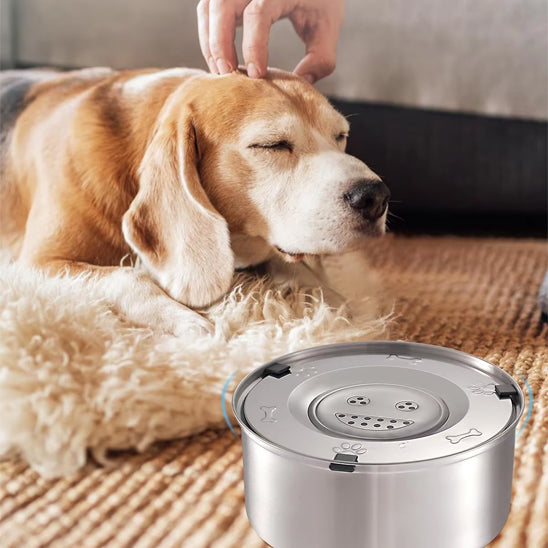 🐶Bol d'alimentation en eau antidérapant pour chiens : hydratation optimale et propreté assurée. La solution idéale pour garder votre chien bien hydraté