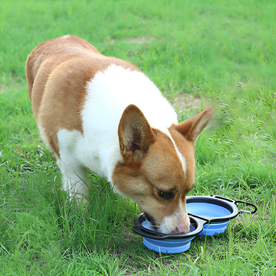 đNotre bol double pour chiens jumeaux est fabriquĂ© en silicone de qualitĂ© alimentaire et en PP qui Ils sont Ă©galement conviviaux et rĂ©sistants aux dĂ©chirures.