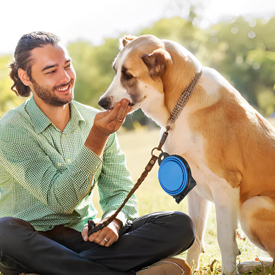 đNotre bol double pour chiens jumeaux est fabriquĂ© en silicone de qualitĂ© alimentaire et en PP qui Ils sont Ă©galement conviviaux et rĂ©sistants aux dĂ©chirures.