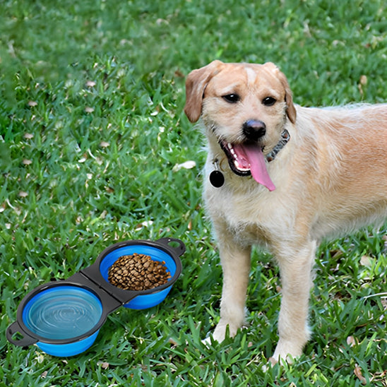 đNotre bol double pour chiens jumeaux est fabriquĂ© en silicone de qualitĂ© alimentaire et en PP qui Ils sont Ă©galement conviviaux et rĂ©sistants aux dĂ©chirures.