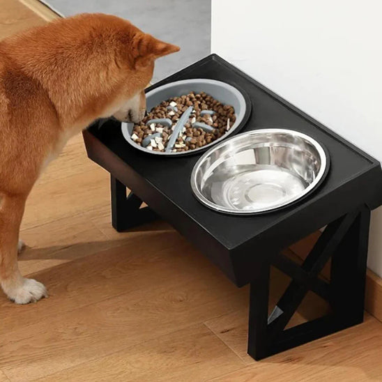🐶Bol surélevé pour chien : la solution idéale pour la santé de votre compagnon, la solution innovante qui révolutionne les repas de votre fidèle compagnon .