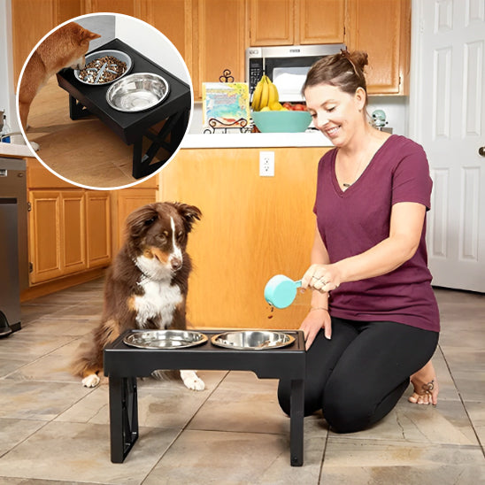 🐶Bol surélevé pour chien : la solution idéale pour la santé de votre compagnon, la solution innovante qui révolutionne les repas de votre fidèle compagnon .