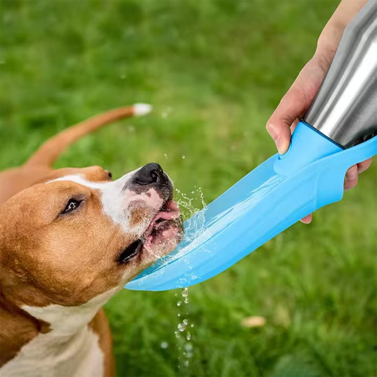 đ Fini les flaques d'eau boueuse, grĂące Ă  notre bouteille d'eau portable, vous n'aurez plus de problĂšme de santĂ© pour votre chien bien aimer