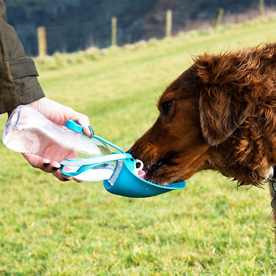 đLa solution idĂ©ale pour les promenades, notre Bouteille d'eau portable pour chien, l'accessoire pour garder votre compagnon hydratĂ© lors de vos sorties.
