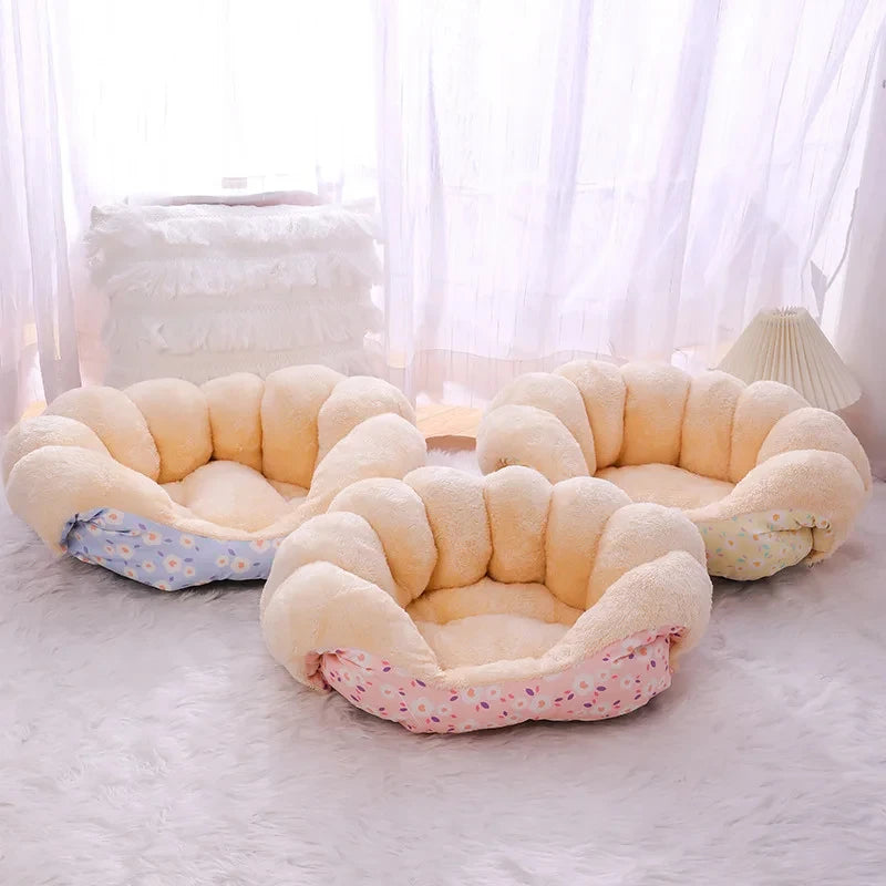 đGrĂące Ă notre CanapĂ© d'Hiver super doux, votre compagnon Ă quatre pattes mĂ©rite un espace de repos aussi confortable que chaleureux pendant les mois froids ?