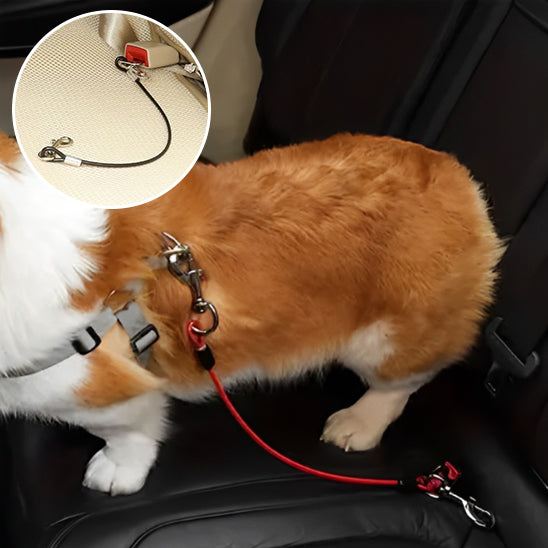 🐶 Sécurisez vos trajets en voiture avec notre laisse pour chien universelle. Protégez votre fidèle compagnon contre les accidents. Disponible en 3 tailles !