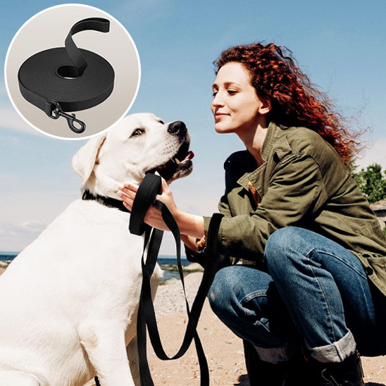 🐕 Découvrez notre laisse pour chien imperméable multifonctionnelle ! Adaptée à toutes les races et activités extérieures. Commandez dès maintenant !
