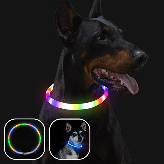 đCollier pour chien lumineux USB : sĂ©curitĂ© et visibilitĂ©, la solution idĂ©ale pour assurer la sĂ©curitĂ© de votre compagnon Ă  quatre pattes. L'or de votre promenade