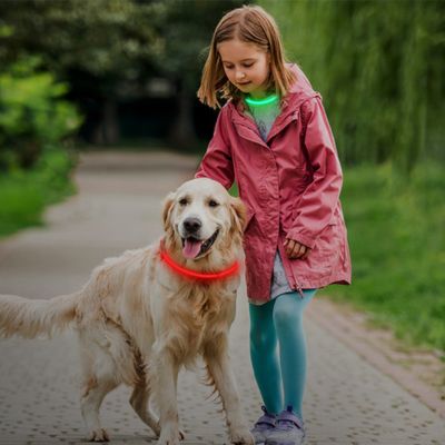 đCollier pour chien lumineux USB : sĂ©curitĂ© et visibilitĂ©, la solution idĂ©ale pour assurer la sĂ©curitĂ© de votre compagnon Ă  quatre pattes. L'or de votre promenade