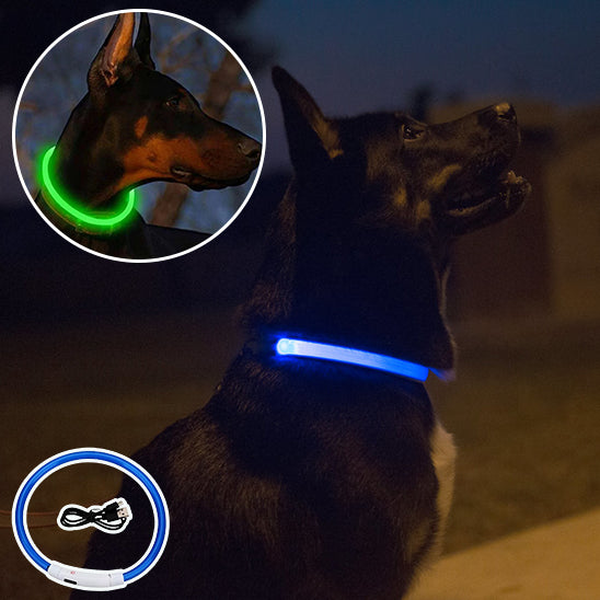 đCollier pour chien lumineux USB : sĂ©curitĂ© et visibilitĂ©, la solution idĂ©ale pour assurer la sĂ©curitĂ© de votre compagnon Ă  quatre pattes. L'or de votre promenade