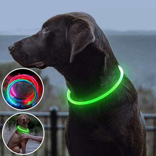 đCollier pour chien lumineux USB : sĂ©curitĂ© et visibilitĂ©, la solution idĂ©ale pour assurer la sĂ©curitĂ© de votre compagnon Ă  quatre pattes. L'or de votre promenade