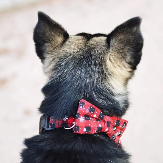 đ¶Collier pour chien nĆud papillon : Ă©lĂ©gance pour votre compagnon Ă quatre pattes, l'accessoire parfait pour allier style et confort pour votre fidĂšle ami. tif