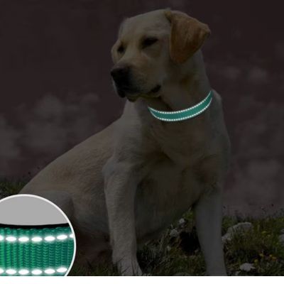 đ¶Collier pour chien : sĂ©curitĂ© et style pour vos promenades nocturnes.  L'accessoire indispensable pour assurer la sĂ©curitĂ© de votre compagnon lors de vos sorties