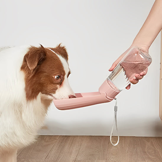 đ¶La Gourde pour chien plein air : l'accessoire indispensable et incontournable pour tous les propriĂ©taires soucieux du bien-ĂȘtre de leur compagnon Ă  quatre pattes.