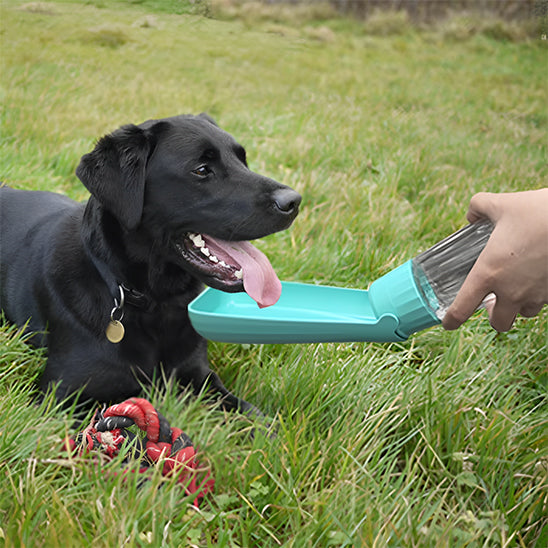 đ¶La Gourde pour chien plein air : l'accessoire indispensable et incontournable pour tous les propriĂ©taires soucieux du bien-ĂȘtre de leur compagnon Ă  quatre pattes.