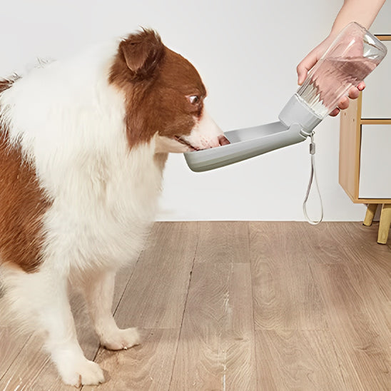 đ¶La Gourde pour chien plein air : l'accessoire indispensable et incontournable pour tous les propriĂ©taires soucieux du bien-ĂȘtre de leur compagnon Ă  quatre pattes.