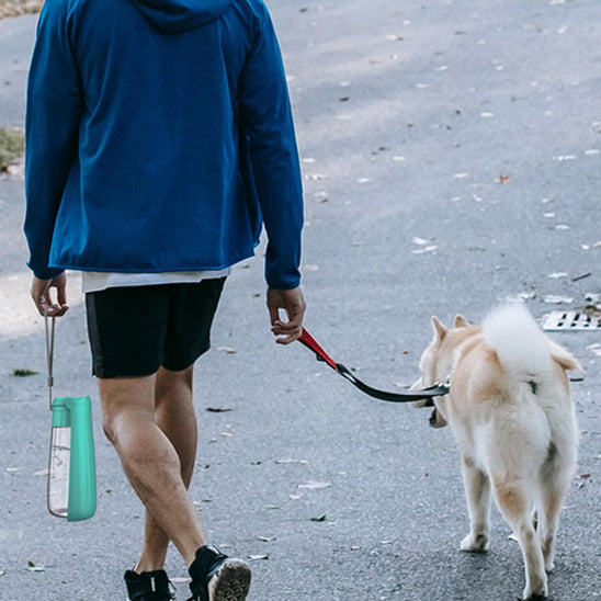 đ¶La Gourde pour chien plein air : l'accessoire indispensable et incontournable pour tous les propriĂ©taires soucieux du bien-ĂȘtre de leur compagnon Ă  quatre pattes.   gourde-pour-chien-sortie-plein-air