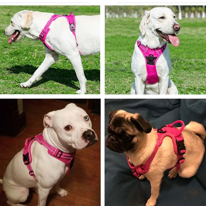 đ DĂ©couvrez notre harnais pour chien anti-traction : confort maximal et sĂ©curitĂ© optimale pour vos promenades. Disponible en 3 tailles !