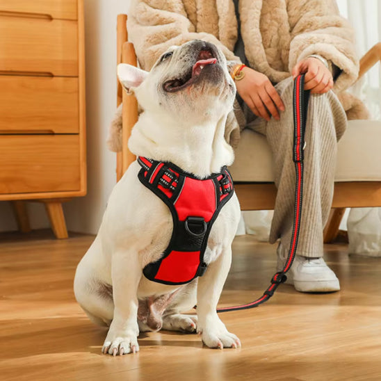 đ DĂ©couvrez notre harnais pour chien anti-traction : confort maximal et sĂ©curitĂ© optimale pour vos promenades. Disponible en 3 tailles !
