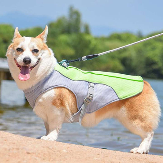 🐶Harnais pour chien : le compagnon idéal indispensable aux propriétaires de chiens soucieux du confort et de la sécurité de leur compagnon à quatre pattes.