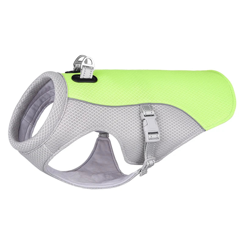 🐶Harnais pour chien : le compagnon idéal indispensable aux propriétaires de chiens soucieux du confort et de la sécurité de leur compagnon à quatre pattes.  harnais-pour-chien-image-vert-gilet-refroidissement
