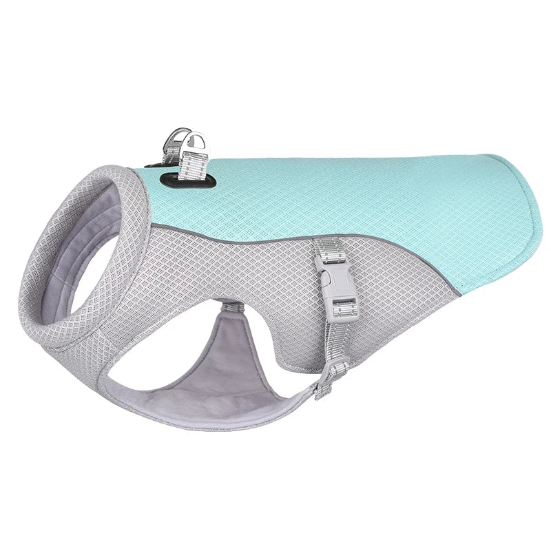 🐶Harnais pour chien : le compagnon idéal indispensable aux propriétaires de chiens soucieux du confort et de la sécurité de leur compagnon à quatre pattes.