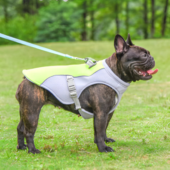 🐶Harnais pour chien : le compagnon idéal indispensable aux propriétaires de chiens soucieux du confort et de la sécurité de leur compagnon à quatre pattes.