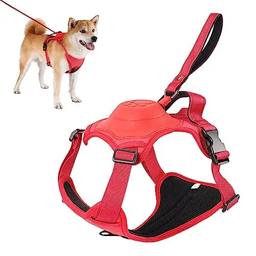 🐕Découvrez notre harnais pour chien innovant, la solution parfaite pour des promenades sûres et confortables. Combine un harnais et une laisse rétractable.